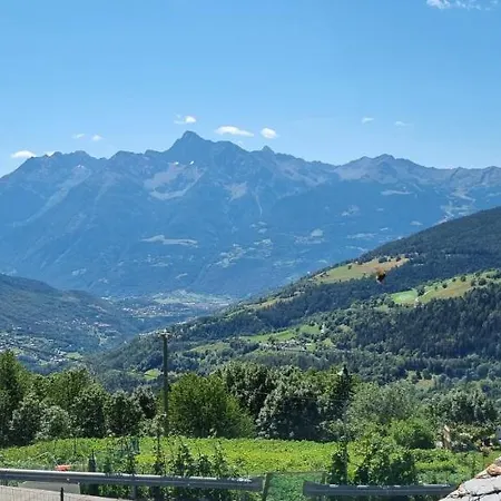 Il Paradiso Cir 0003